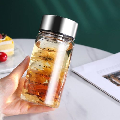 Petite Gourde en Verre Filtre Inox 350ml