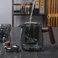 Théière en Verre Teinté 480ML