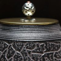 Théière Japonaise Ancienne en Fonte 1.3L