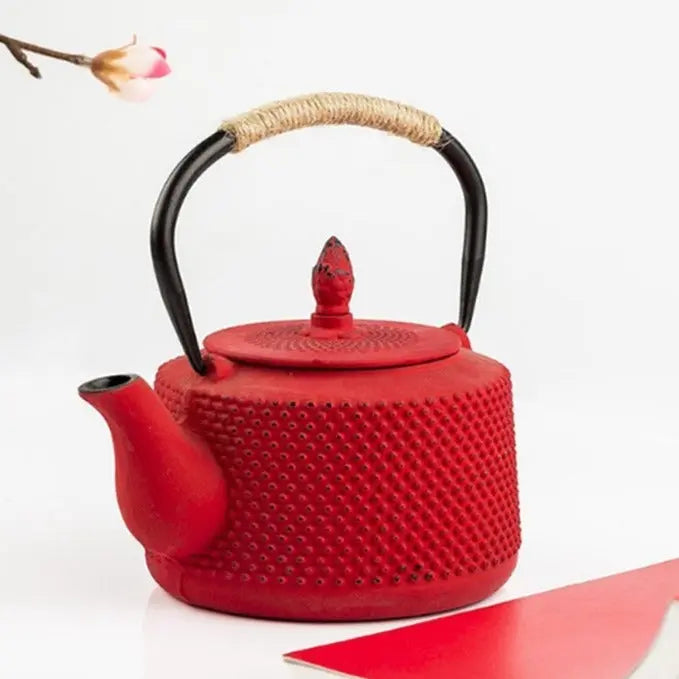 Théière Japonaise en Fonte Coloré 850ML